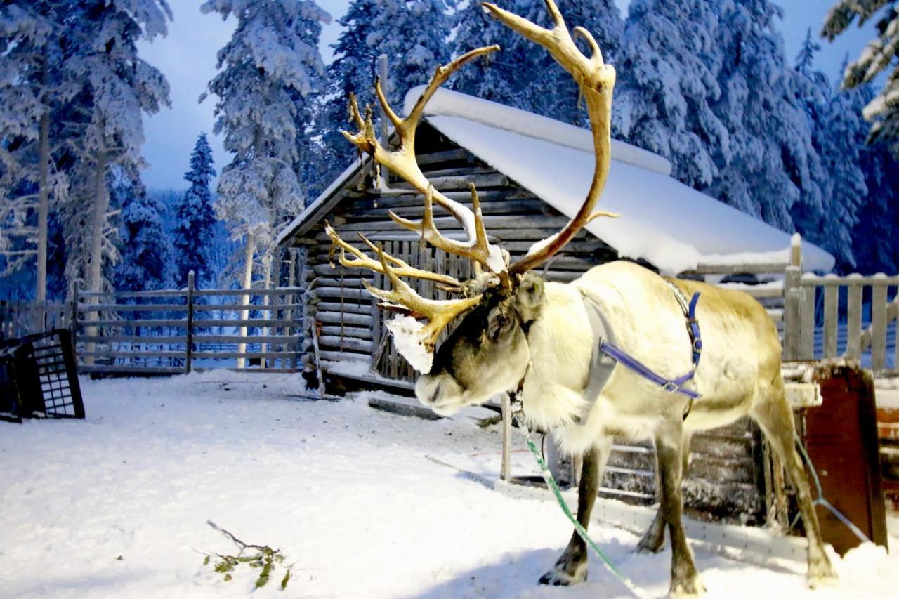 Holiday Club Salla Superior Apartments Екстериор снимка